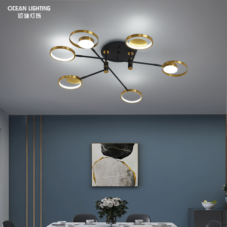 ceiling light