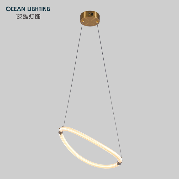 Nordic Modern Simple Pendant Lamp Postmodern Ring Indoor lighting 24W Led Chandelier