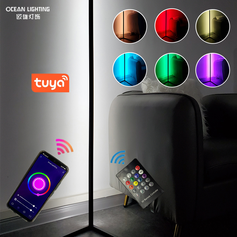 Music Sync White + RGB Color Changing Nordic Decoration LED Modern Floor Lamps for Living Room Bedroom