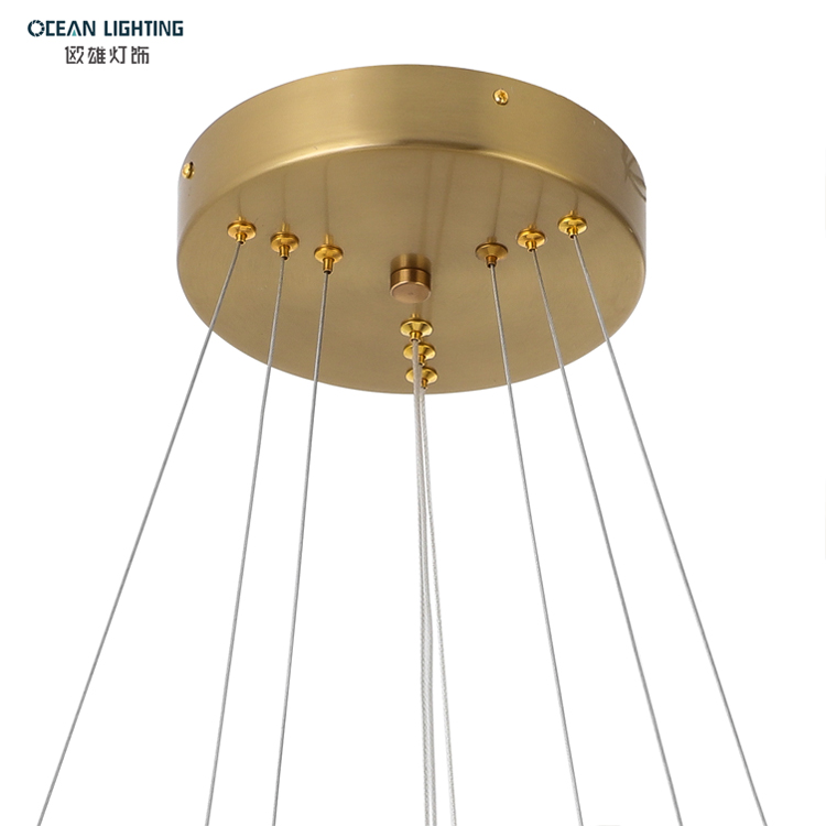 Ocean Lighting LED Modern Golden Irregular Decorative Luxury Pendant Light