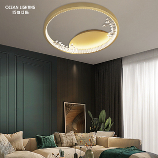 OCEAN LAMP Wholesale House Living Room LED Modern Fixtyre Ceiling Lights for Bedroom