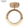 Ocean Lighting Morden Living Room Bedroom Decorative Luxury Golden Ceiling Light
