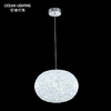 Decorative LED Hanging Round Ball Interior Lighting Pendant Lamp