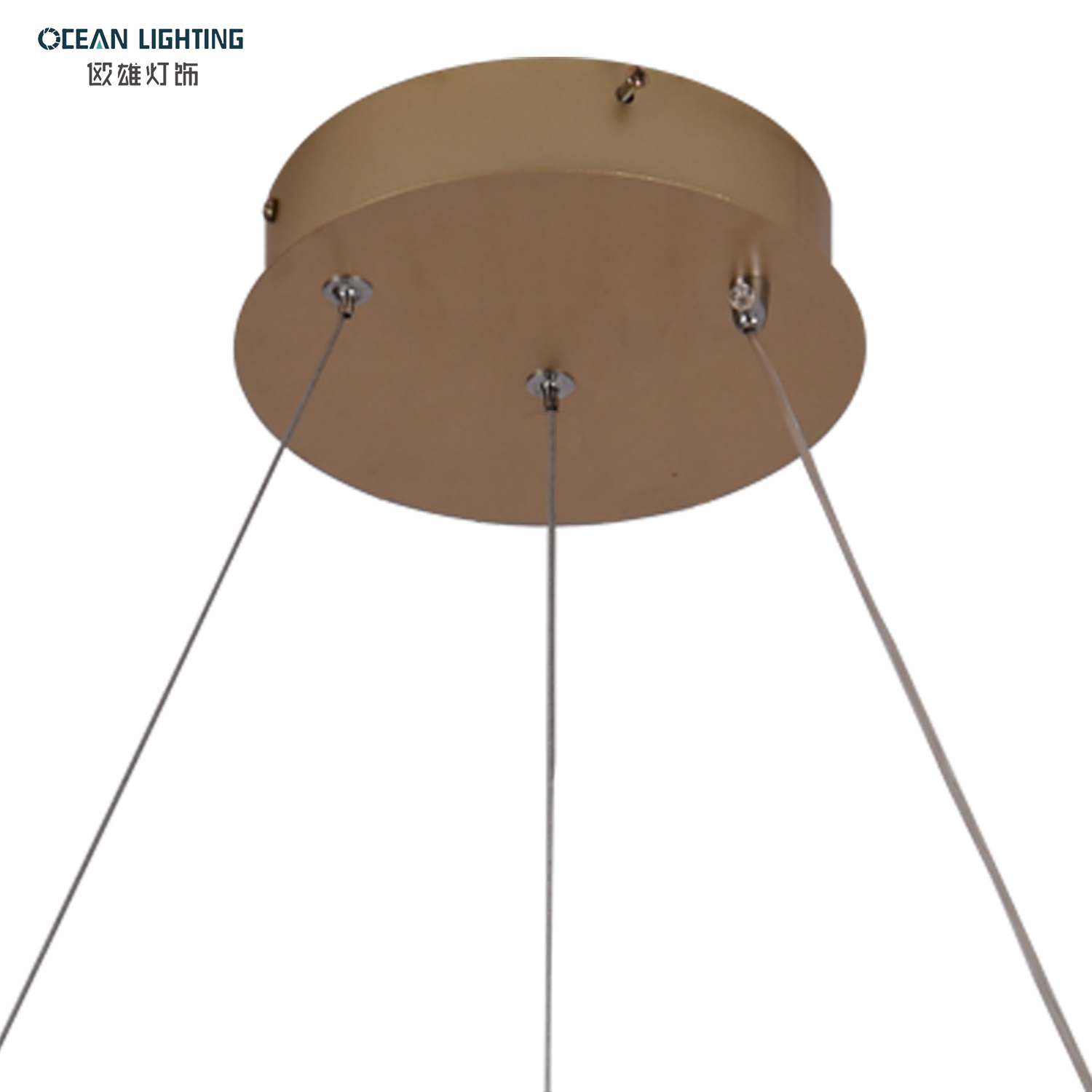 OCEAN LAMP Pendant Light LED Design Simple Modern Decorative Lighting Fixture Ring Chandelier for Hotel
