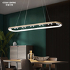 OCEAN LAMP Pendant light LED Oval shape modern decorative lighting fixture chandelier
