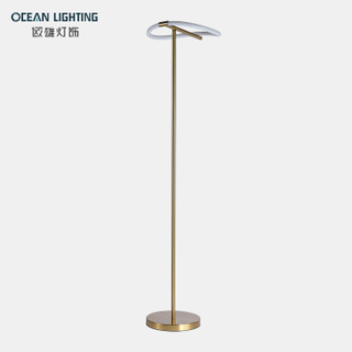 Modern Custom Indoor Bedside Decorative Standing Night Light LED Floor Lamps for Living Room